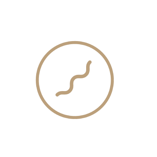 The Flow Studio icon — Holland Village, coming soon